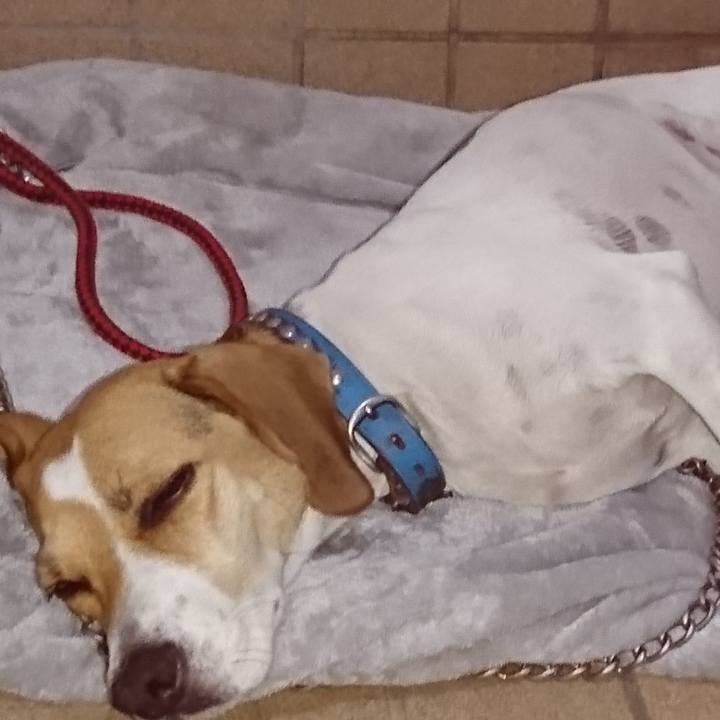 0d52cdef 572f 4432 8078 1c5b2f60f1b5 1569768650278