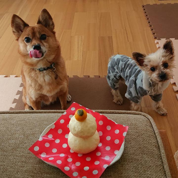 0d52d4f8 e0f1 4eba a701 05f58522cbeb 1610370403655