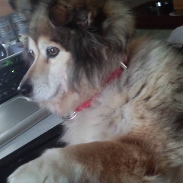 0d52df58 3a22 4d1e b160 4d5dd3c65289 1601275619279