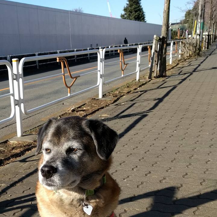 0d5310d1 4bec 418f a3ed 53a36c223814 1518503086624