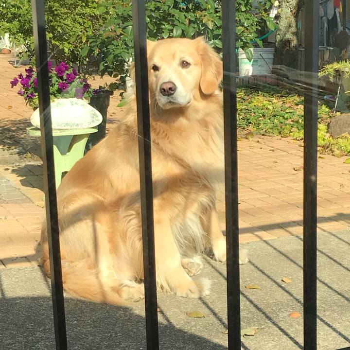 0d5382dc 9896 419e 9ef8 c1d3e3ba410d 1543479452988