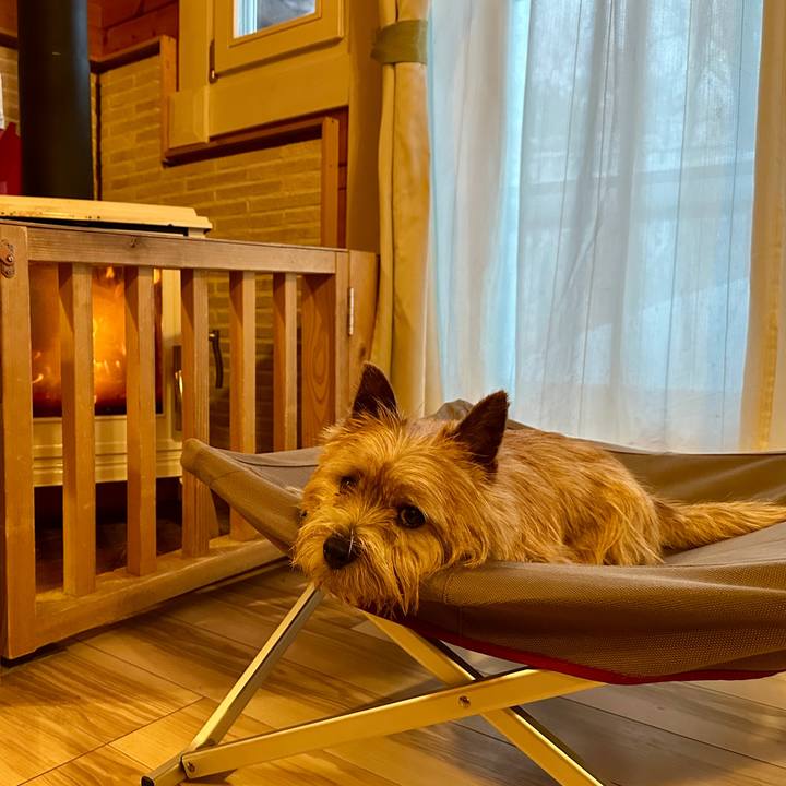 0d539d1b fd44 45f7 a8f2 4ae59f1f5ad7 1769948671055