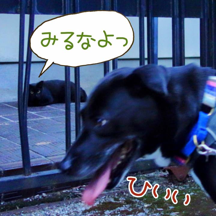 0d53a16e d216 4cc6 8865 b46da084ede3 1657191156159