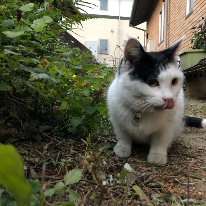 0d53b218 3545 49db b5a0 31ebdfb36de5 1608295803979