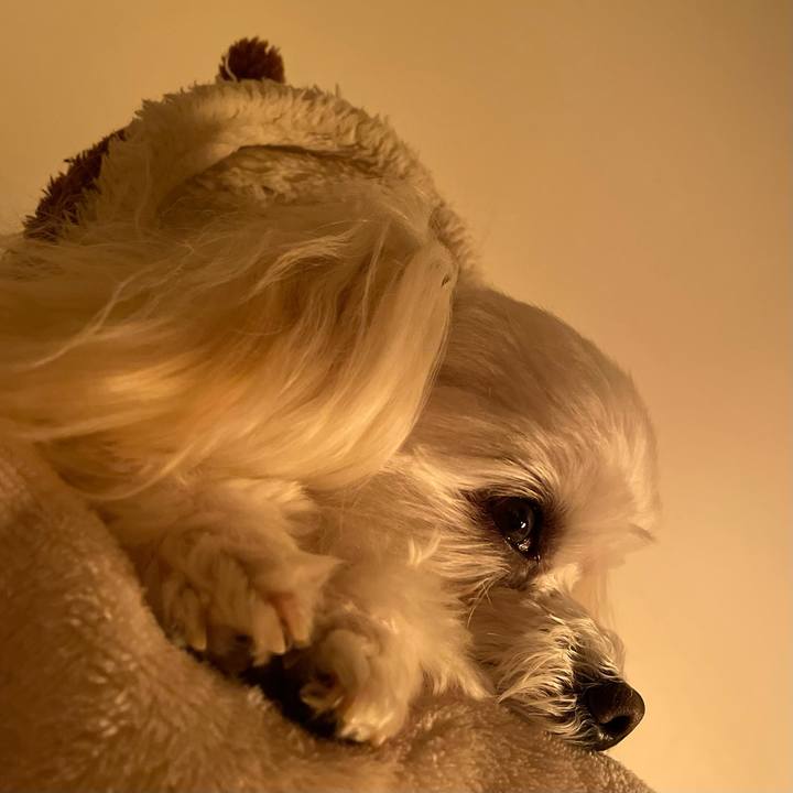 0d53d7ab deb8 4363 bae4 6a80196f7ef3 1648288428648