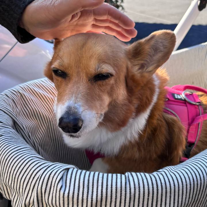 0d542db9 e063 48b2 8fd5 01f33f51278d 1735960653859