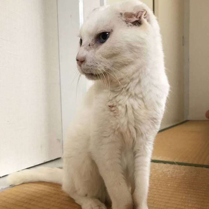 0d542e05 1b41 4a05 9aa4 00e1a7e06125 1533682035026