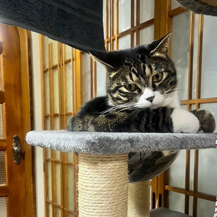 0d54a7e5 103a 4087 afd4 8228645bf28b 1771976297766