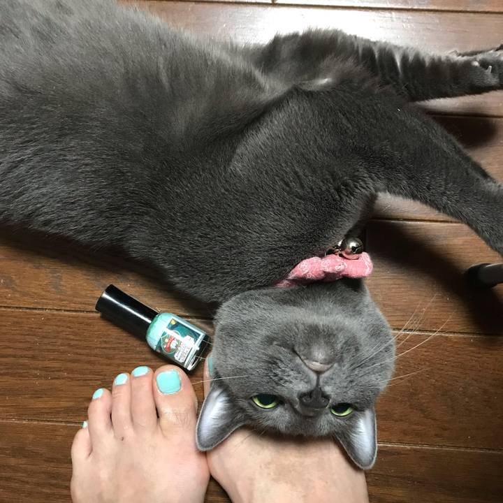 0d54bfd3 688b 4f58 af1c 0ff89e30ac9b 1562249424233