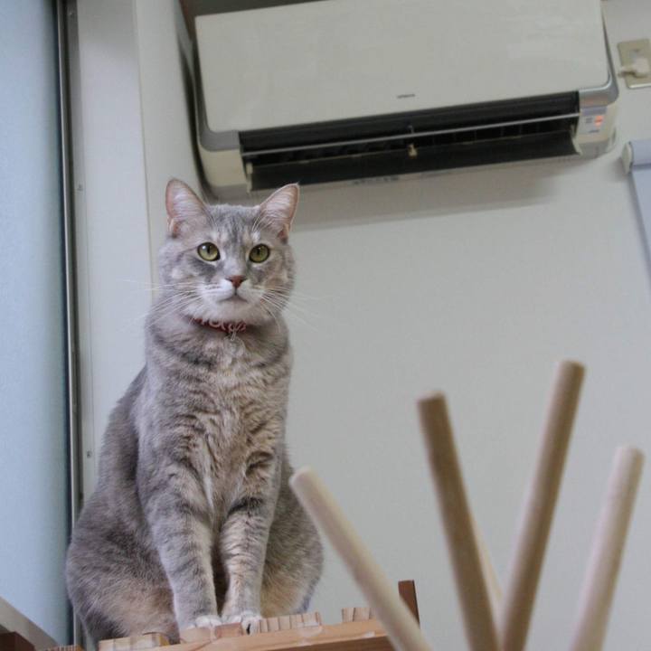 0d54f7f2 dd04 4d7e a320 da6401728b1f 1542849344722