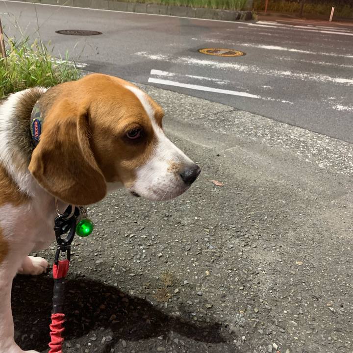 0d552c54 da6b 4ca3 8c50 d2bf926c7966 1601982525201