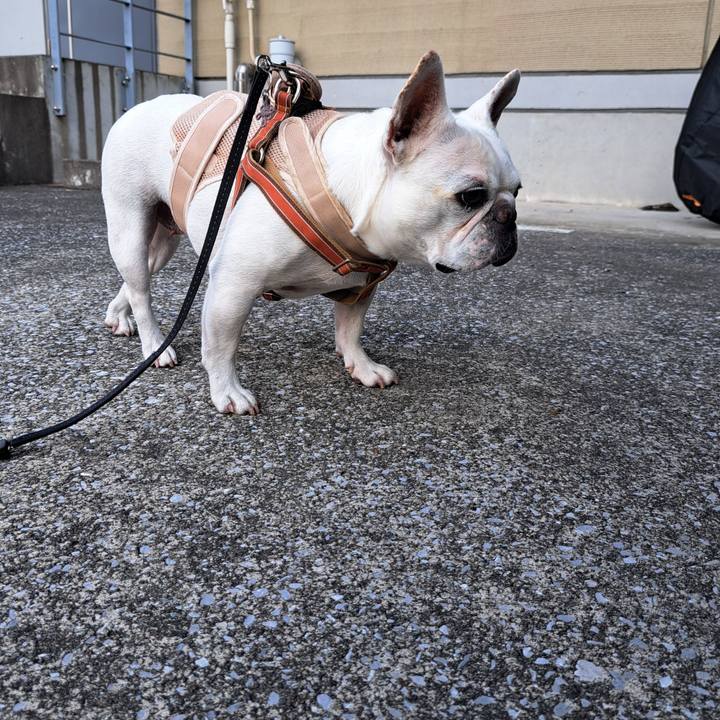 0d554e10 3098 407e ace1 734db52ba872 1721639962803