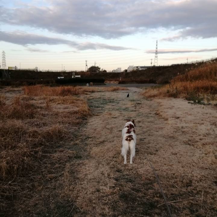 0d555152 5304 408f b235 6d2673686ef0 1608255300630