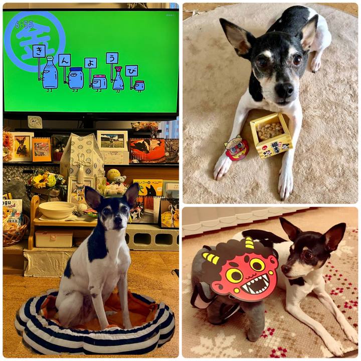 0d555cf1 aed8 4fd0 aa51 294245784e80 1675375272276