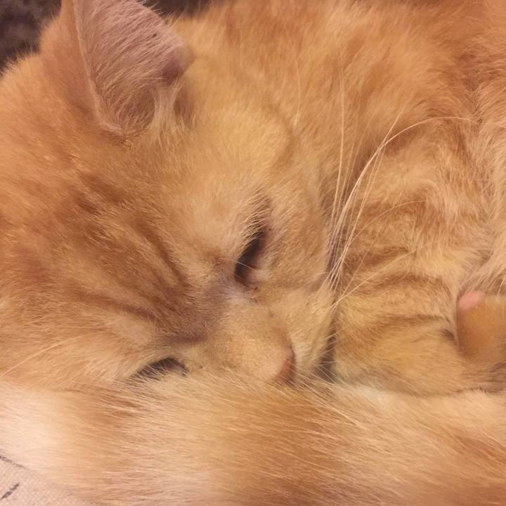 0d5590e1 2d72 4935 84da be7793a5689f 1572605685949