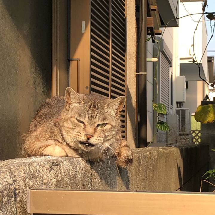 0d55a848 ebe3 4893 b1c8 6ee1c1117013 1553677937683