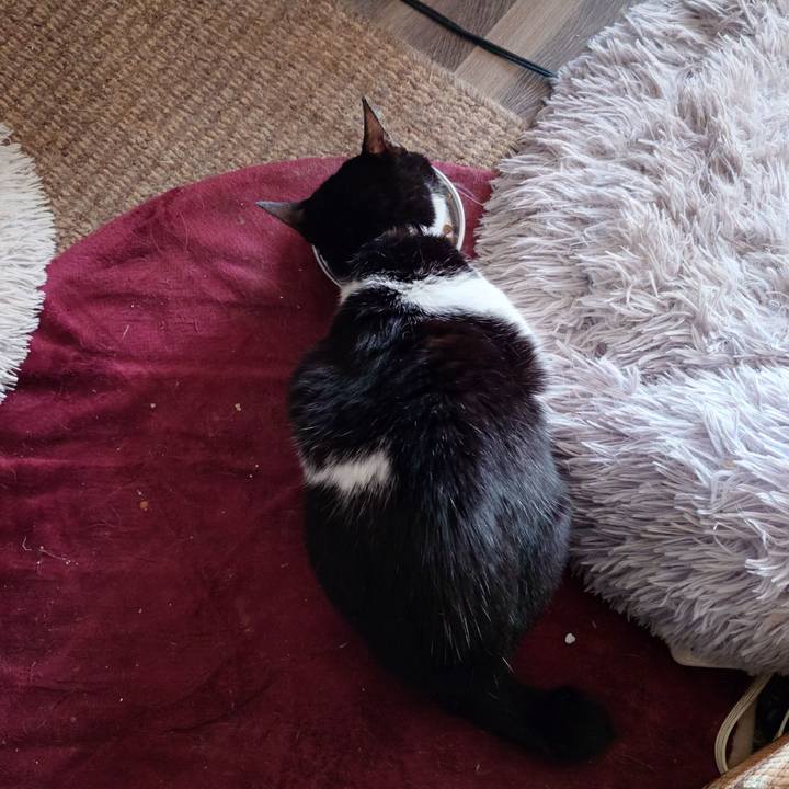 0d55c291 edde 4059 a75d dfe29658577d 1769562532774