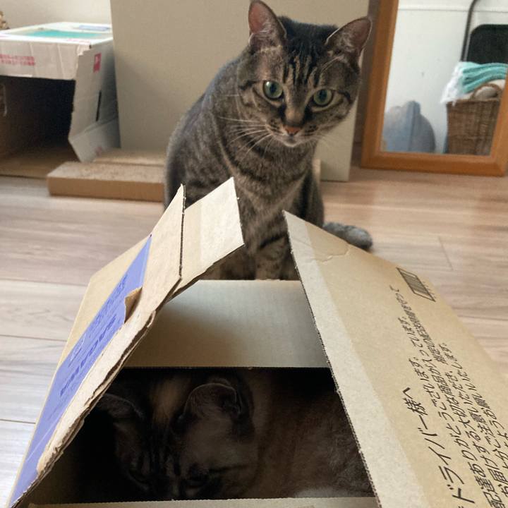 0d55ea77 a8a1 41b5 b5d6 da1e4d47d203 1651737579100