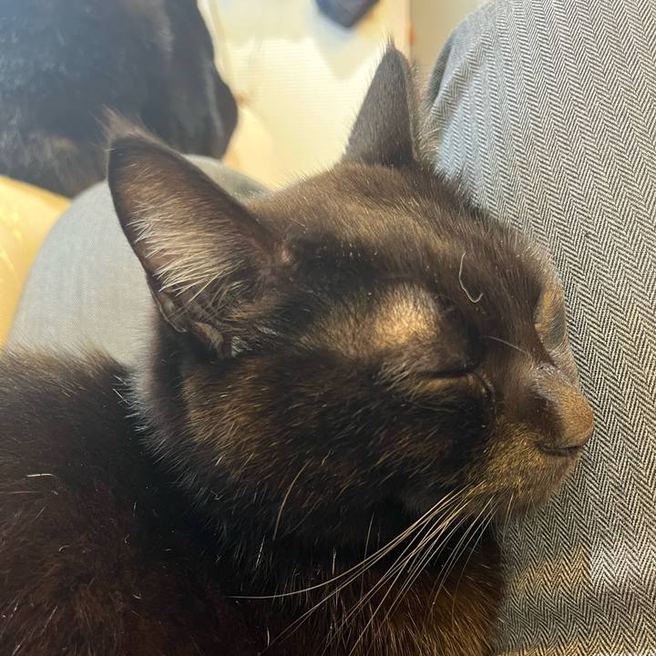 0d55f48b 4086 43b9 b37b 956777610e82 1706052117761