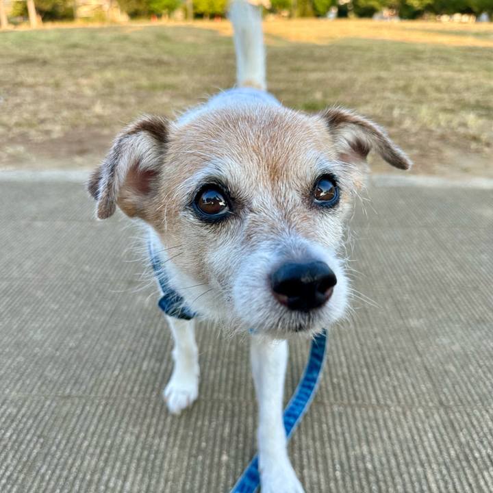 0d55fb9d 73d0 4f27 92eb d9c860167372 1690321213026