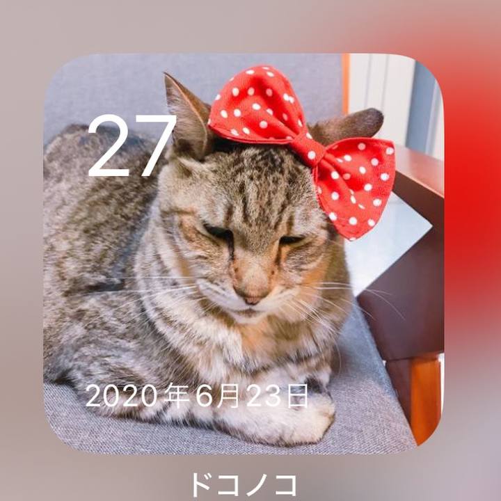 0d5601c7 3826 469d b7fd 3f3af7f69d91 1719460110213