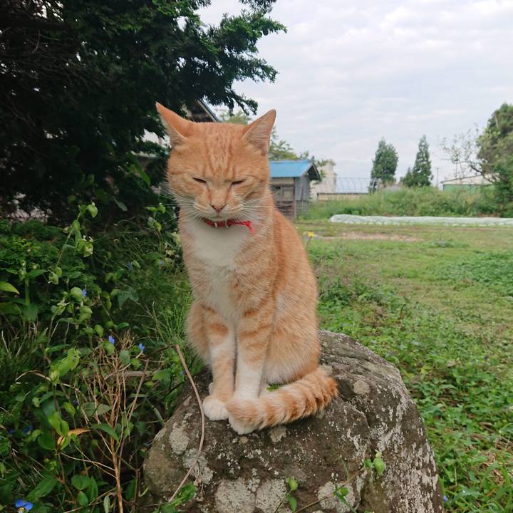 0d5611f9 a469 4828 992b e3bfd5aefc3c 1568775285918