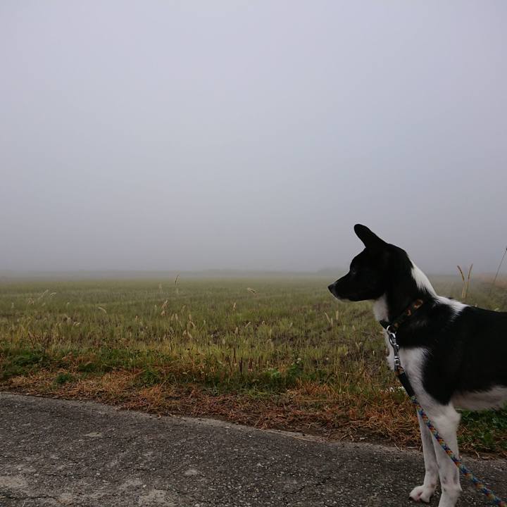 0d56518c be89 4dda 9e3d 8027b1ca228c 1510531187972