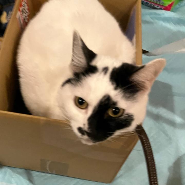 0d5671fa 362c 447a 83df a8b755c81881 1769610606628