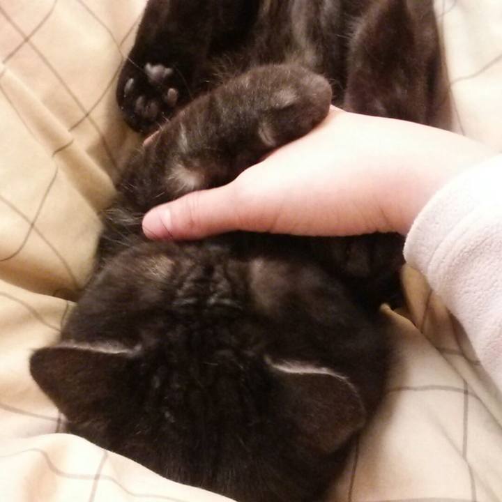 0d568272 b9e3 4974 aeda ee6b73e16689 1516693982062