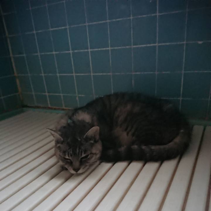 0d56ae2e c427 4e04 99da 686ed0beadfd 1570309036810