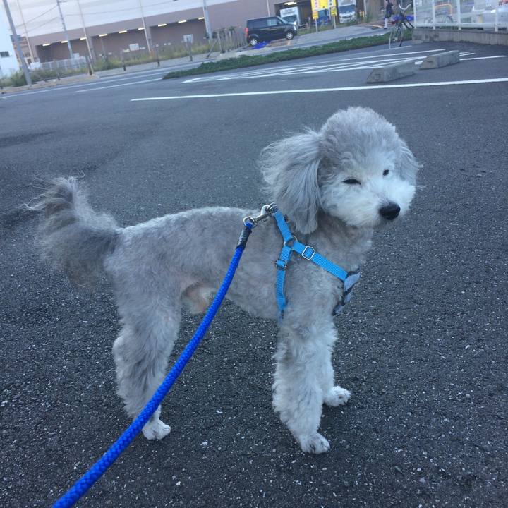 0d56f542 69e6 4102 a834 d0d961a484f2 1509319295591