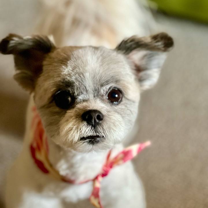 0d572582 5d71 4a32 9b71 eb639f3b6d75 1653466310855