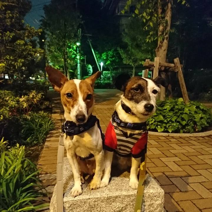 0d5748a3 9650 46fd 8a47 c9ee7419bae5 1524655746597