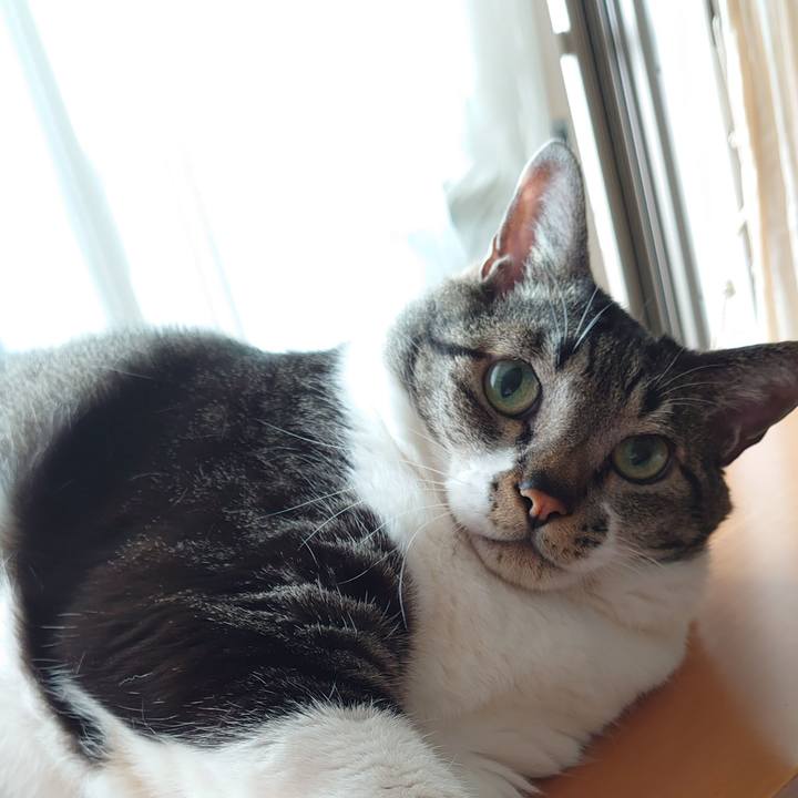 0d575ed2 1c46 476b 9a22 1aecba0a54cb 1626482910345