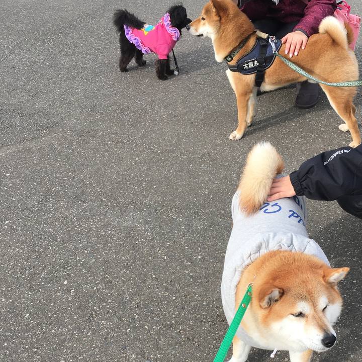 0d578dbb 5330 4611 89f6 778ae37e01ce 1610329205175