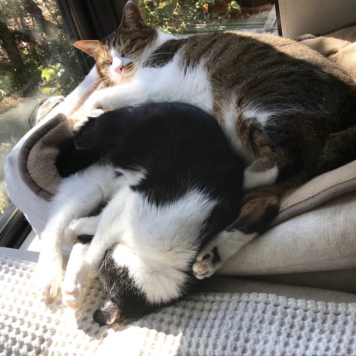 0d57a23d 799e 446c a574 9caeb6e6ff56 1550723745110