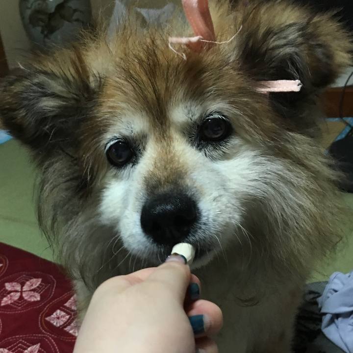 0d57c0f6 da1c 4959 a03e f4d1f35c10d0 1601170362966