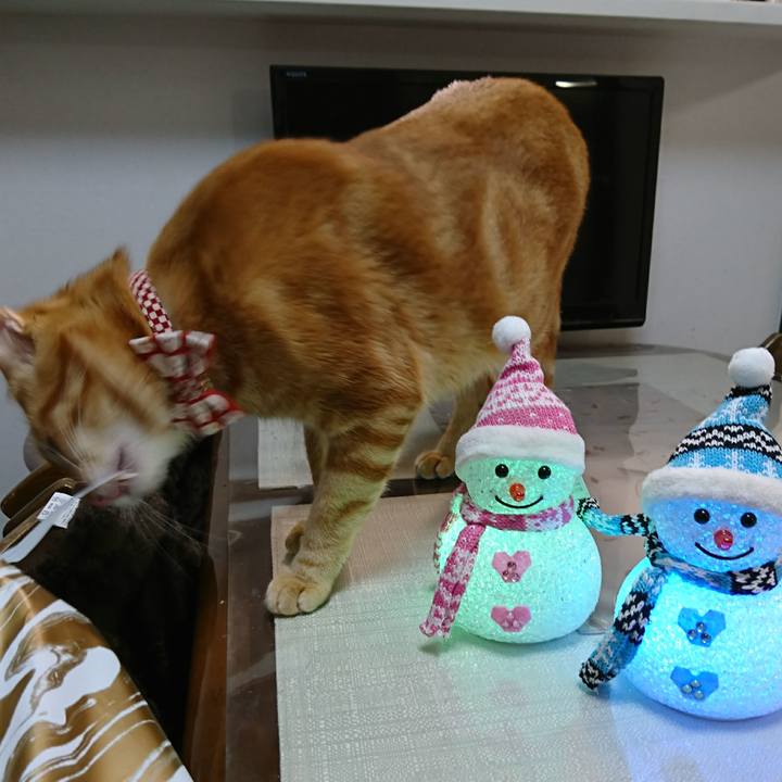 0d57f5bb 0441 4e8e 8135 d5cb868dda65 1513950636274