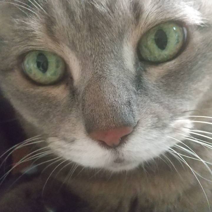 0d580a68 0e90 464e 865d 4c27ad876e34 1640225386920