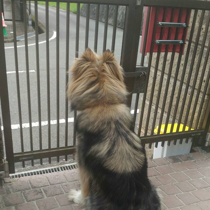 0d5828f8 f695 40a3 87d7 38d59d990b78 1530089170642