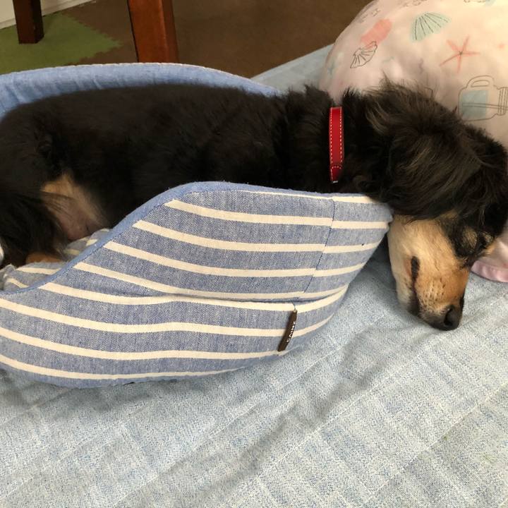 0d582e14 6489 4ccd 8e91 8c91e589b179 1627876464238