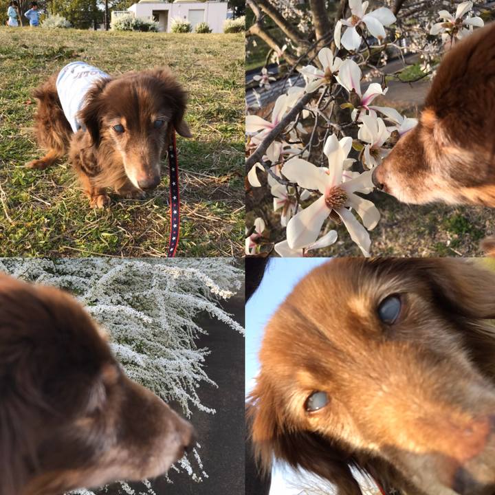 0d583c22 39ad 4b1f b994 628a67271306 1584877821968