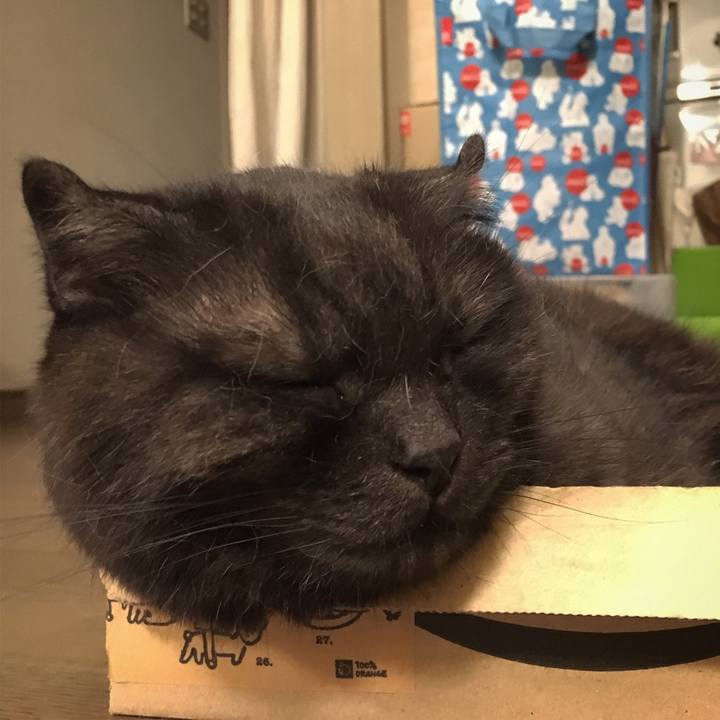 0d584037 8a40 4c15 b3a8 315bd1acadf7 1561047313800