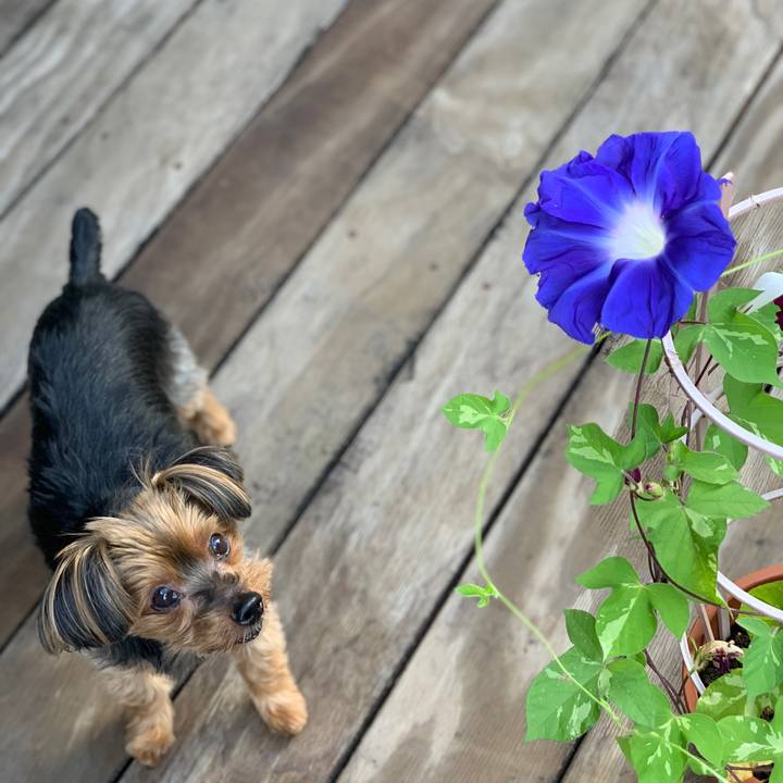 0d5894c8 97ff 414a 8eb0 48a0b06cc5e9 1626817705704