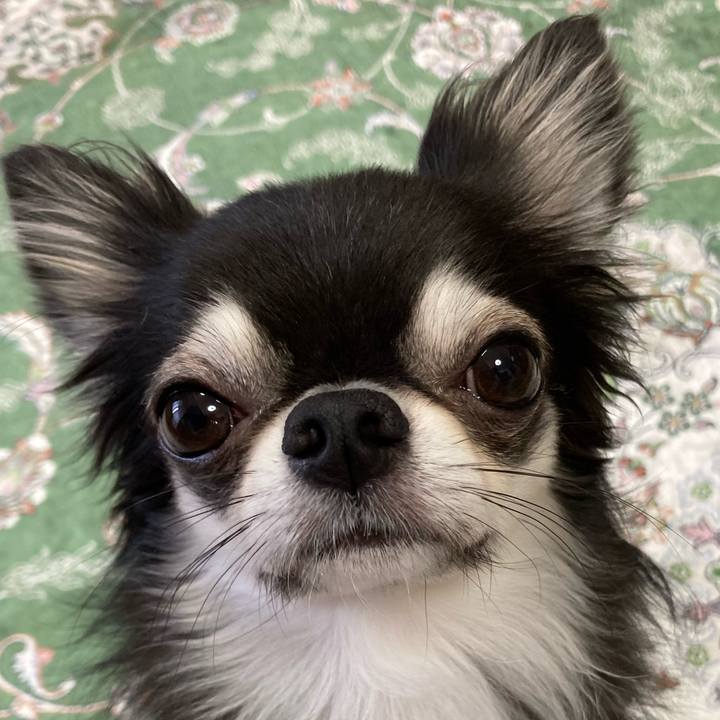 0d589bf5 fb59 4e23 b67e 10aebf79c45e 1665356380766