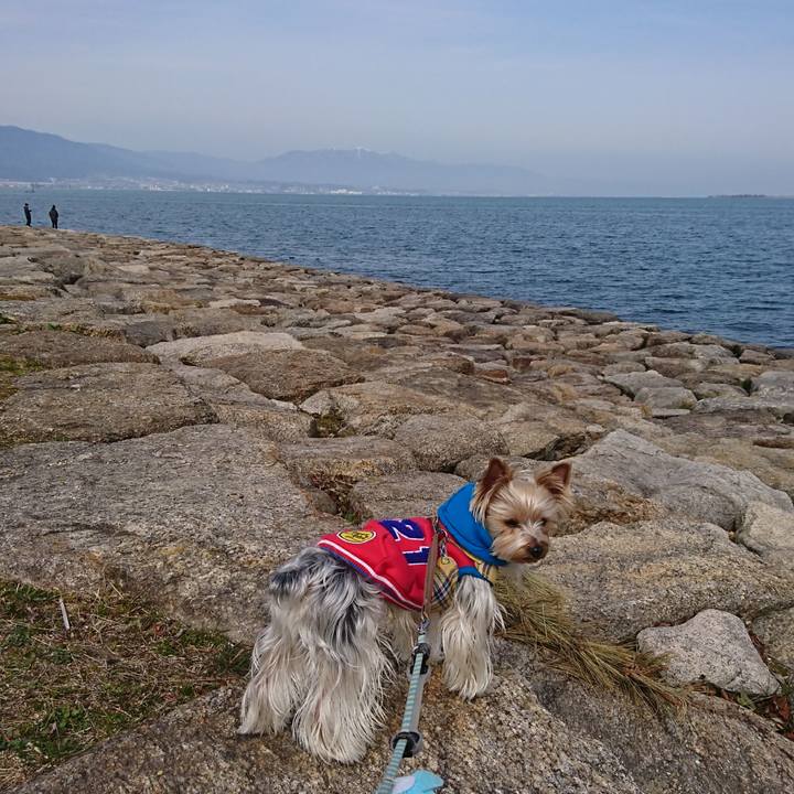 0d58ada7 97f9 4337 9c98 57eddebcef20 1520058764595