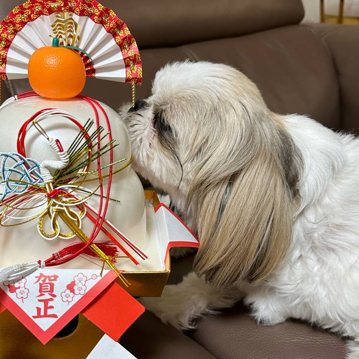 0d58b2cb 5762 4bbc a1f7 dcd8a38ace0b 1704367999421