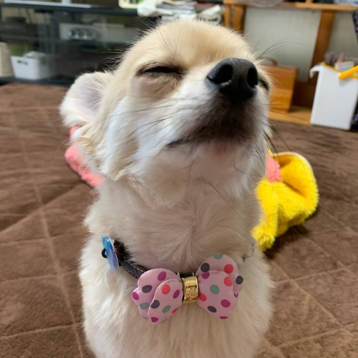 0d58e2b2 e614 4fee ae7f 83225afda4cc 1615626467796