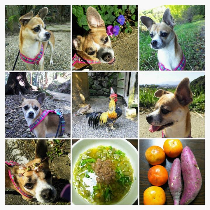 0d58ecd0 c040 44b7 ad03 ae38496549ab 1572684059278