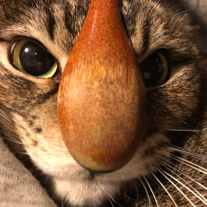 0d58fc6b a26b 457e 8012 1cea5406898f 1547932023950